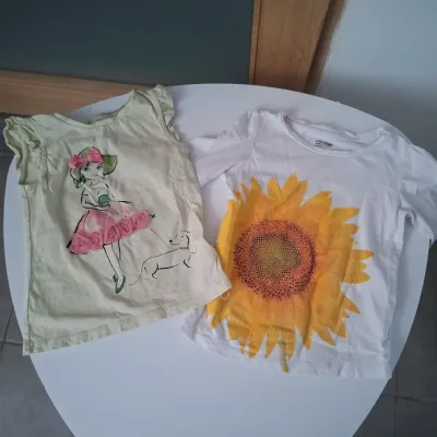 Lot 2 t shirts Baby Gap 24 mois